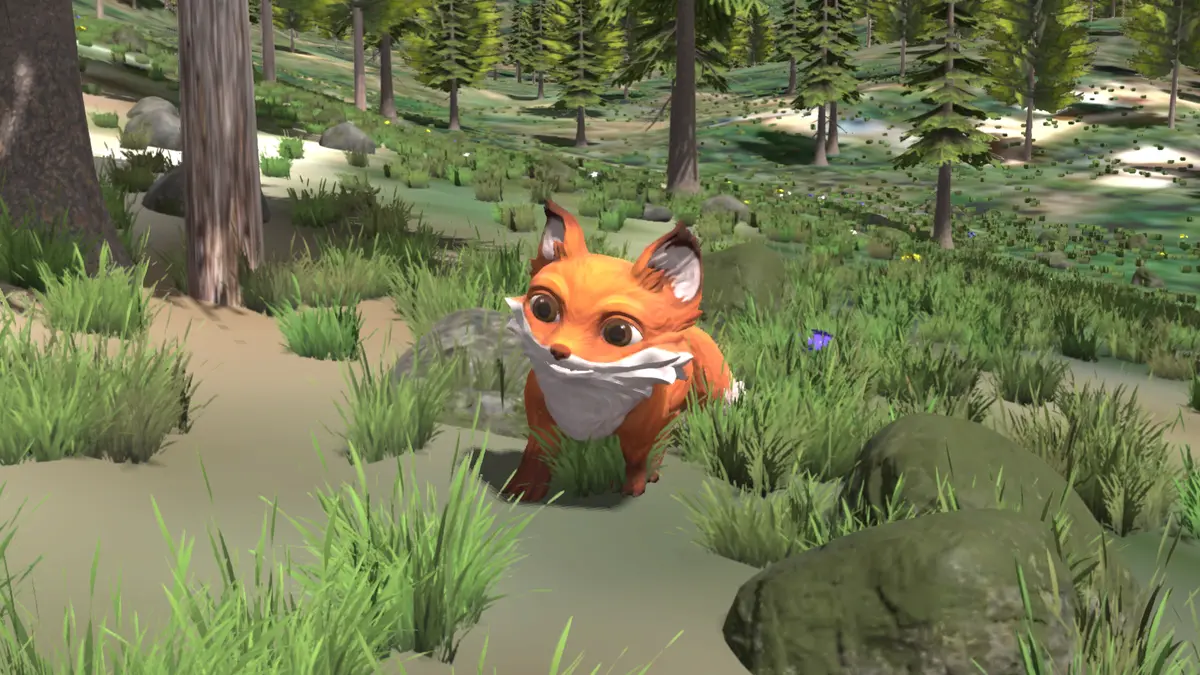 Paul wandering through the valley